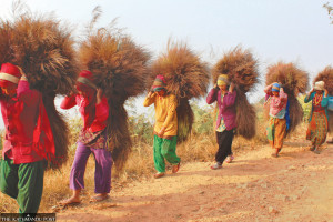 essay about nepal in english language