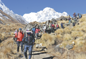 essay on federalism in nepal in about 150 words