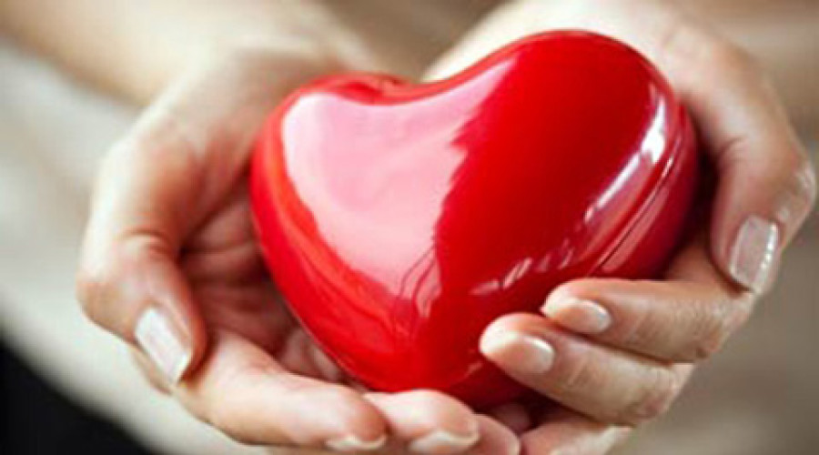Top five foods for keeping your heart healthy