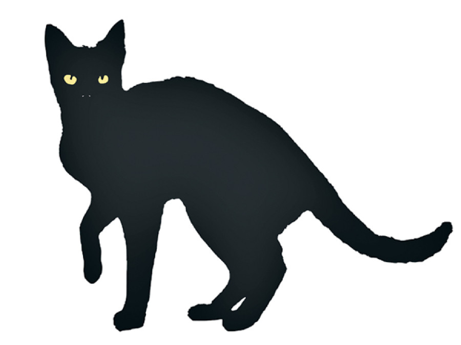 Experimental experimentation