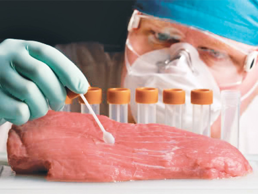 Meat the future 