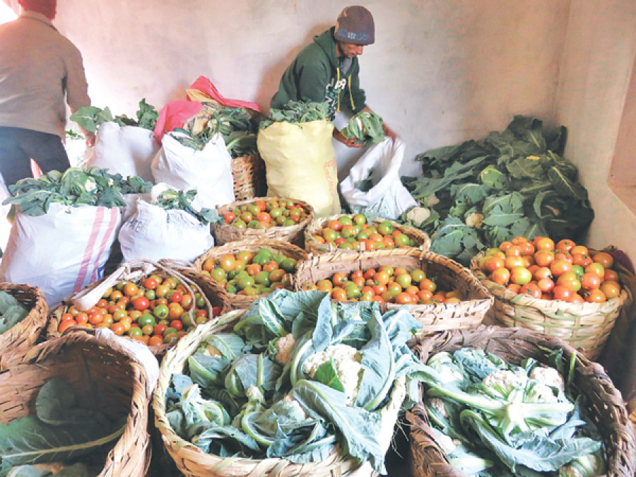 Jajarkot becomes self-reliant in veggies