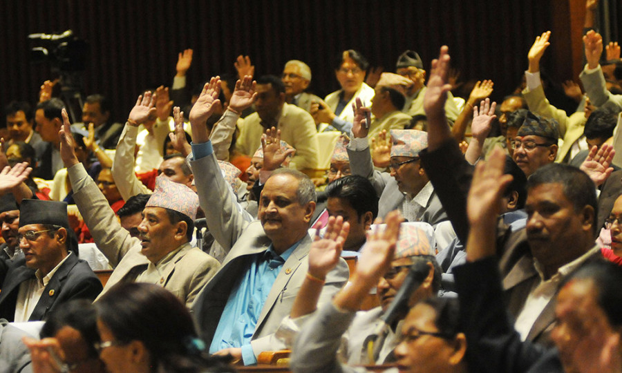 Proposal on setting constitution promulgation date endorsed