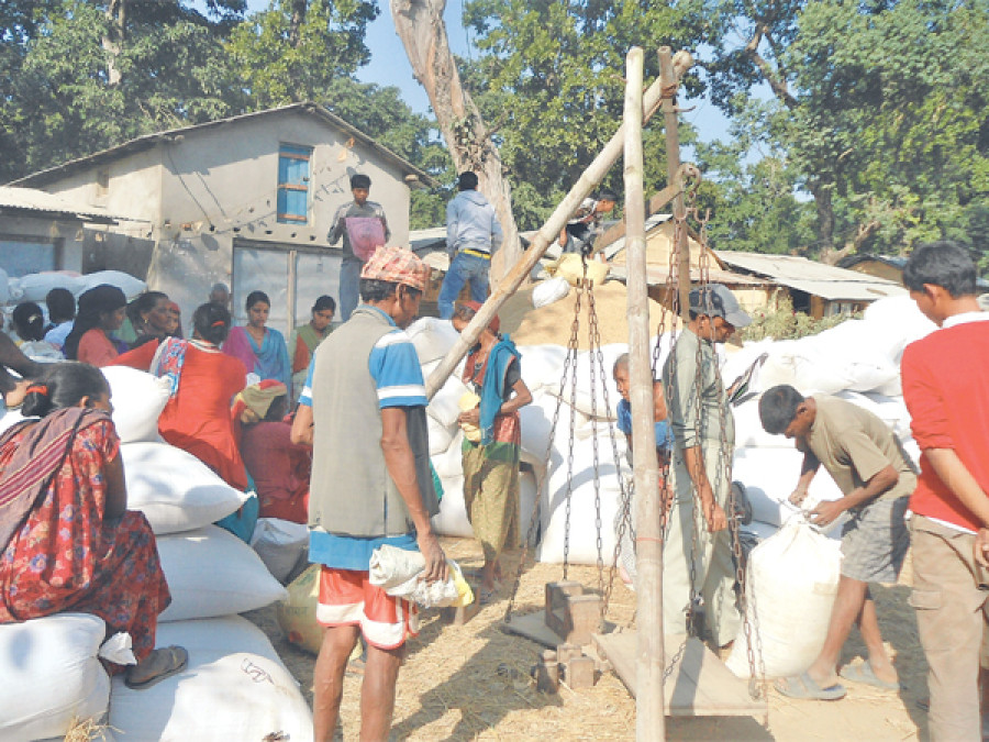 Bardia farmers rue drop in paddy prices