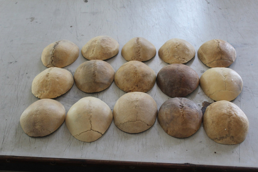 Indian man held with 15 human skulls 