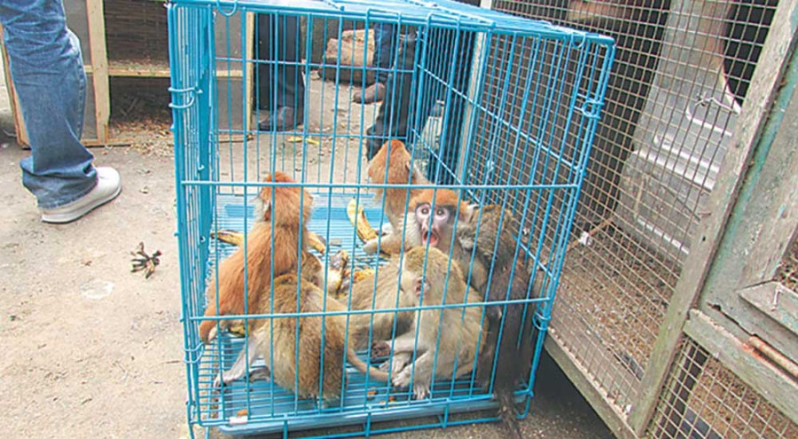 3 TIA customs staffers suspended for assisting smugglers 