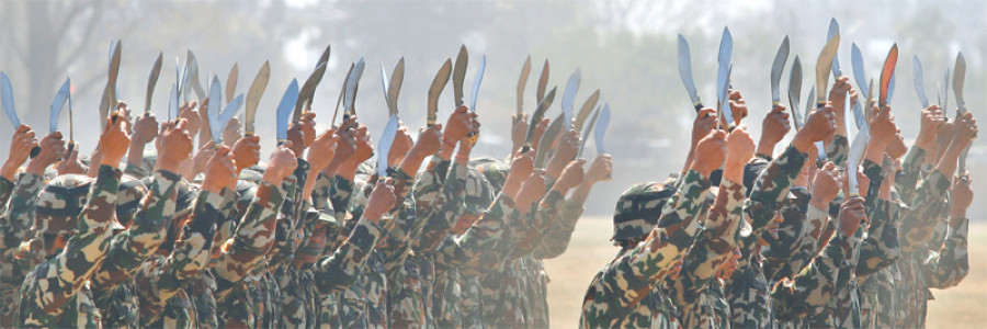 NA puts on a razzle-dazzle show on Army Day