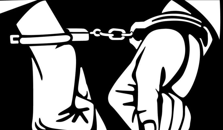 Devi Gyawali’s son held for making abusive remarks against Renu Dahal