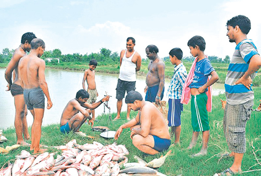 Fish farming gets govt boost in Morang