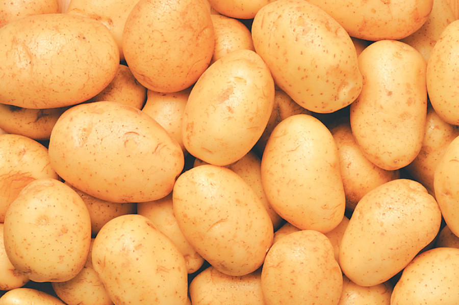 Taplejung aims at becoming self-reliant in potato