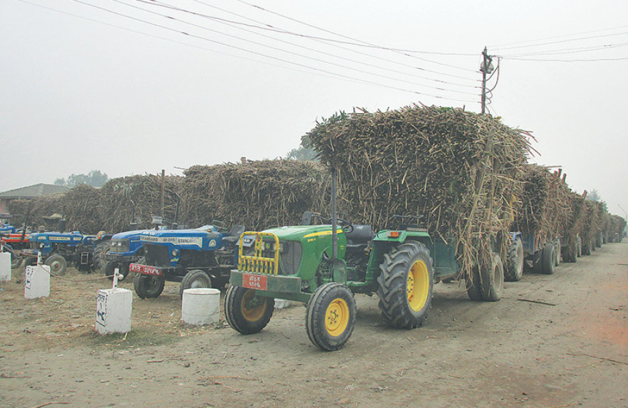 Farmers demand sugarcane price at Rs562 per quintal