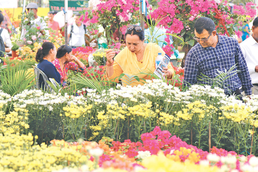11th Chrysanthemum flower expo opens