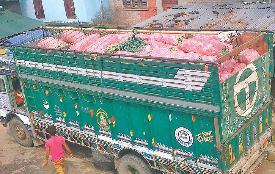 Cabbage farmers, traders stand to lose Rs100m