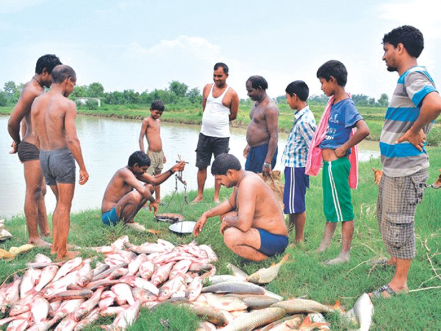Govt plan to establish fishery zone hits snag