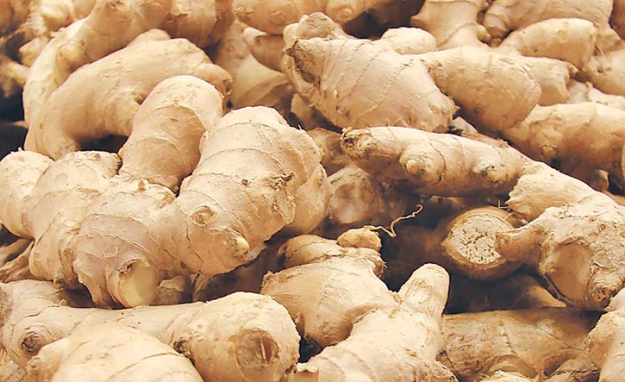 India removes tax on Nepali ginger exports