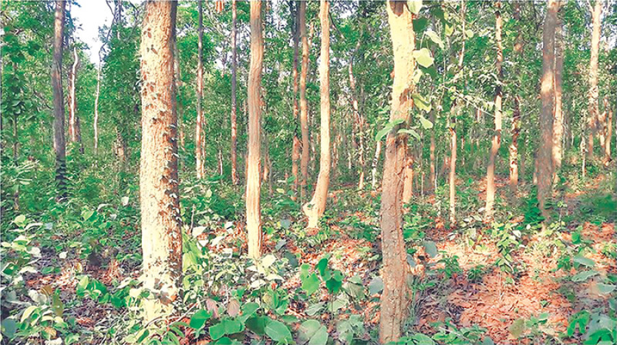 New guidelines upset power developers