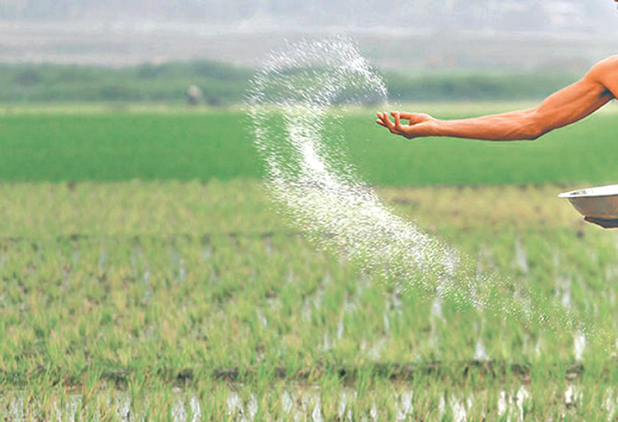 Fertiliser shortage hits farmers in Western Tarai