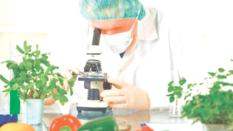 Govt initiates action against 246 food firms