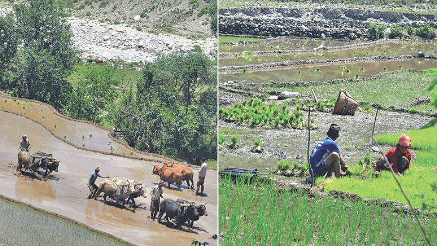 Met: Monsoon to pick up pace in a few days