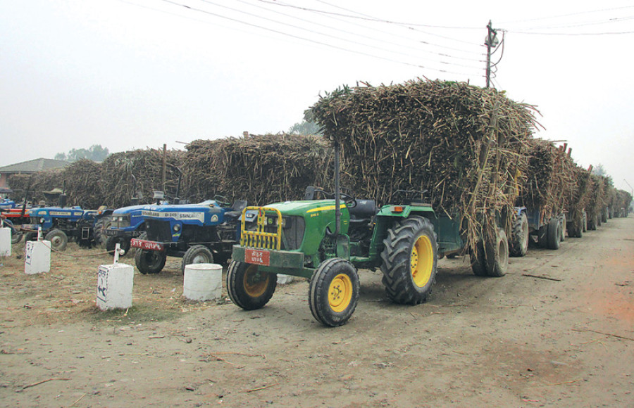Farmers bar mill from supplying sugar to mkt