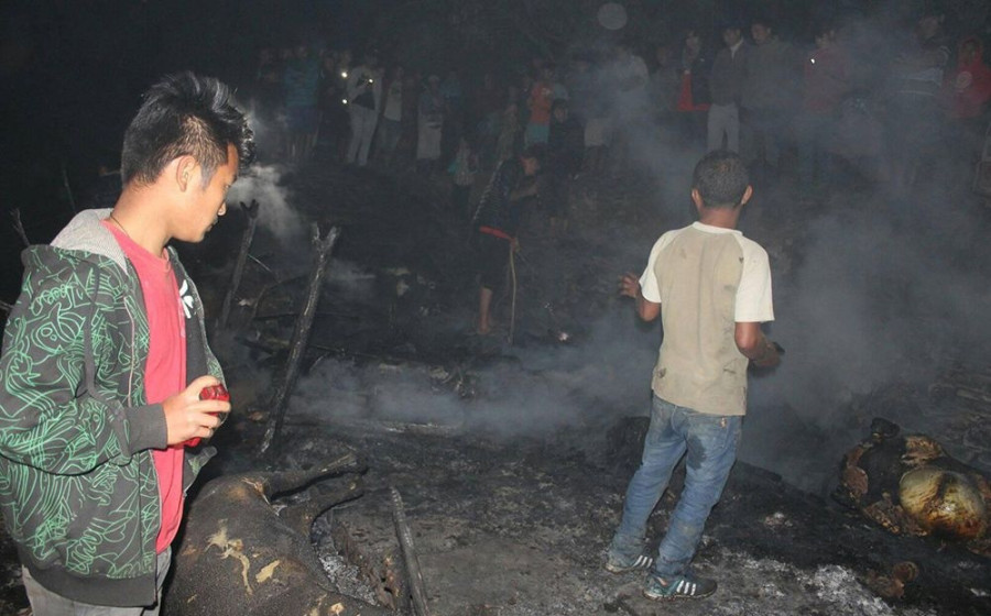 18 cows killed in Kaski fire