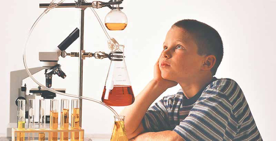 Two legs good, four legs bad