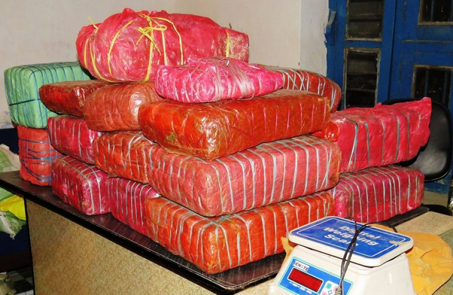 Police confiscate 140 kg marijuana, pistol