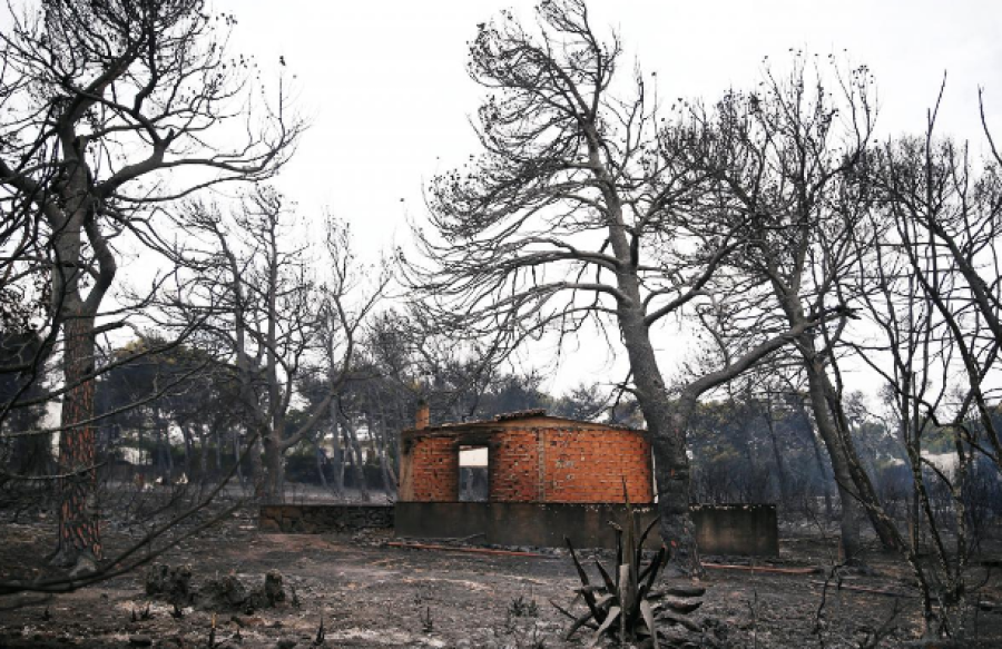 Wildfire kills at least 50 near Athens, flames trap families as they flee