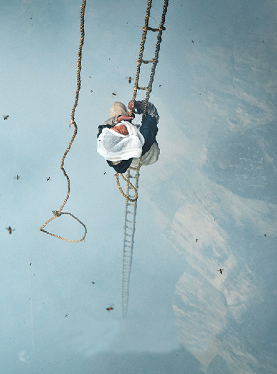 Watching The Last Honey Hunter