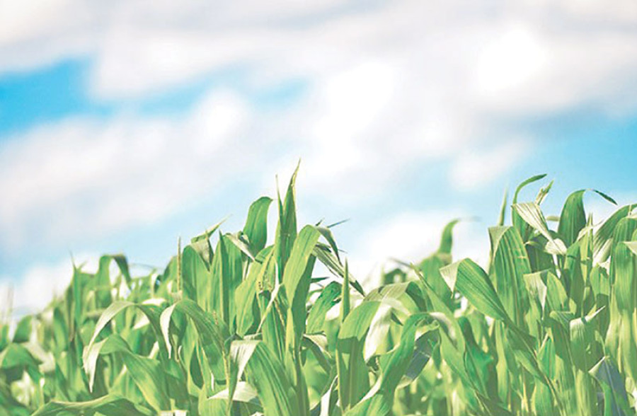 Transforming agriculture