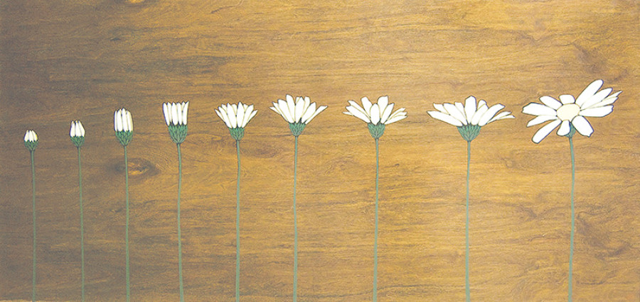 Big lessons on little things