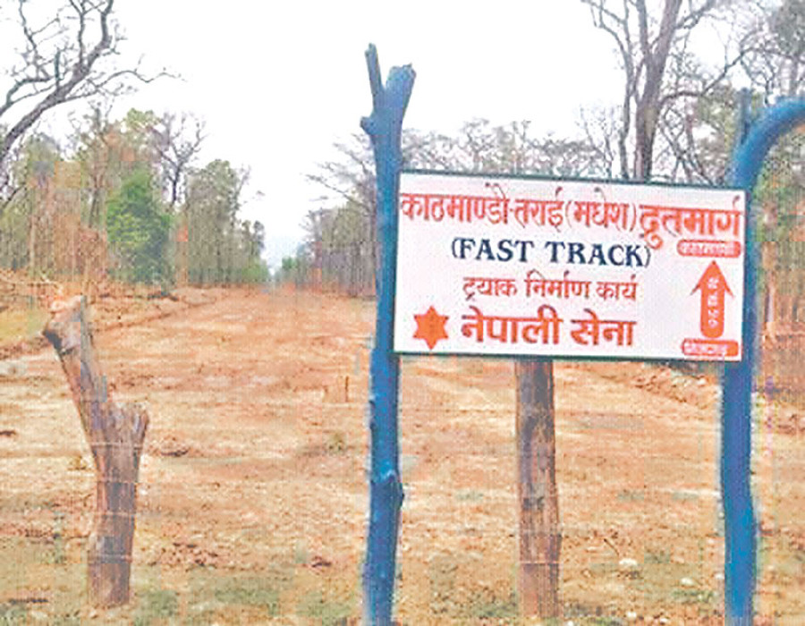 Trees yet to be planted to replenish those felled 