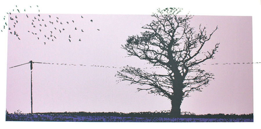 Something to fight for