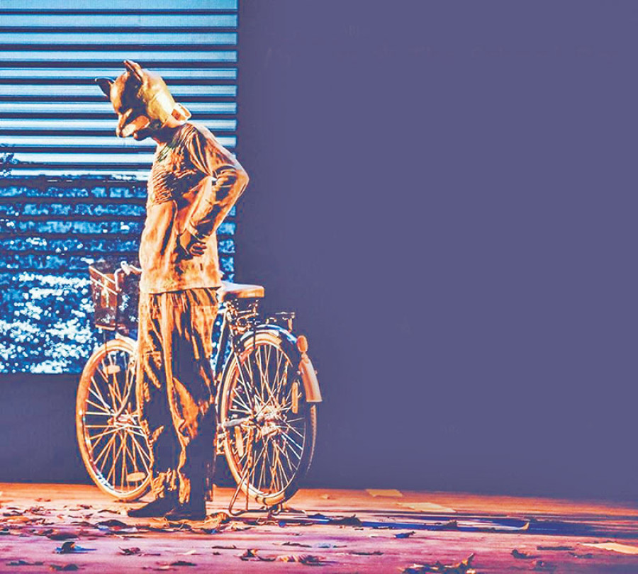 Mr Fox and the Schoolboy at Kausi