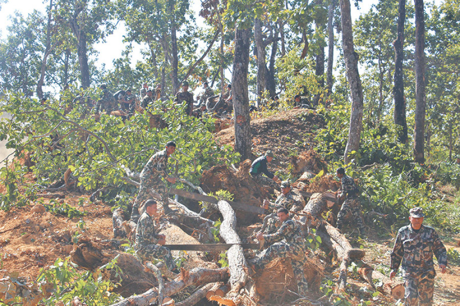 Kathmandu-Tarai Expressway: Army cuts 14k trees to build expressway