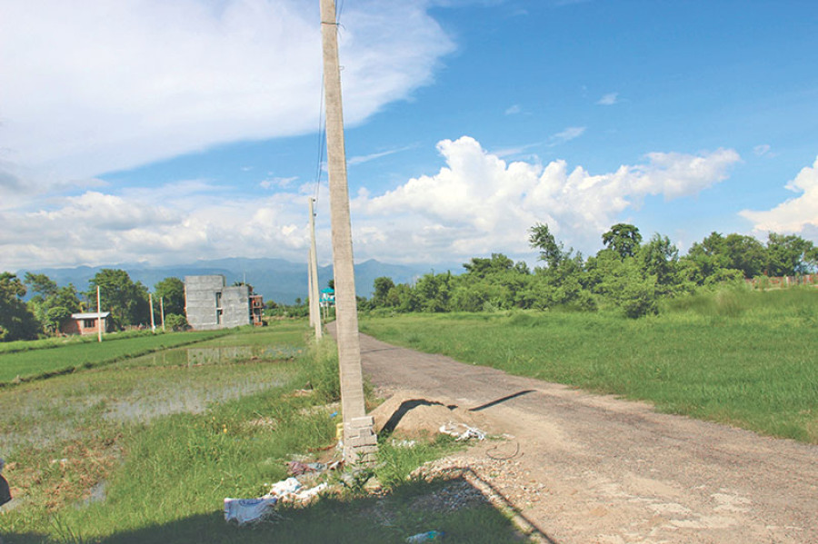 Urbanisation eats up fertile fields in Kailali