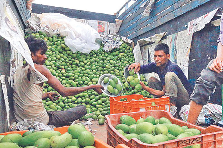 Imported mangoes pose ‘serious health risks’
