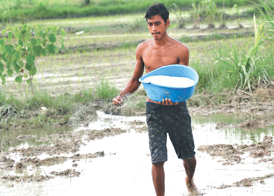 Farmers face fertiliser shortage once again