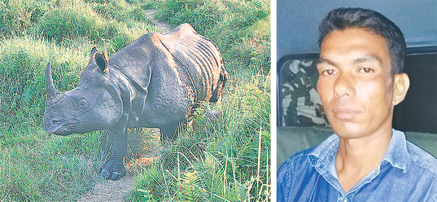 Park team arrests rhino poacher 