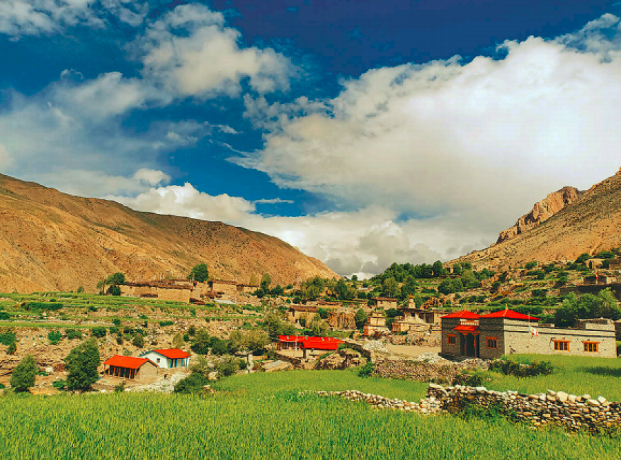Transportation of subsidised rice to upper Dolpa begins