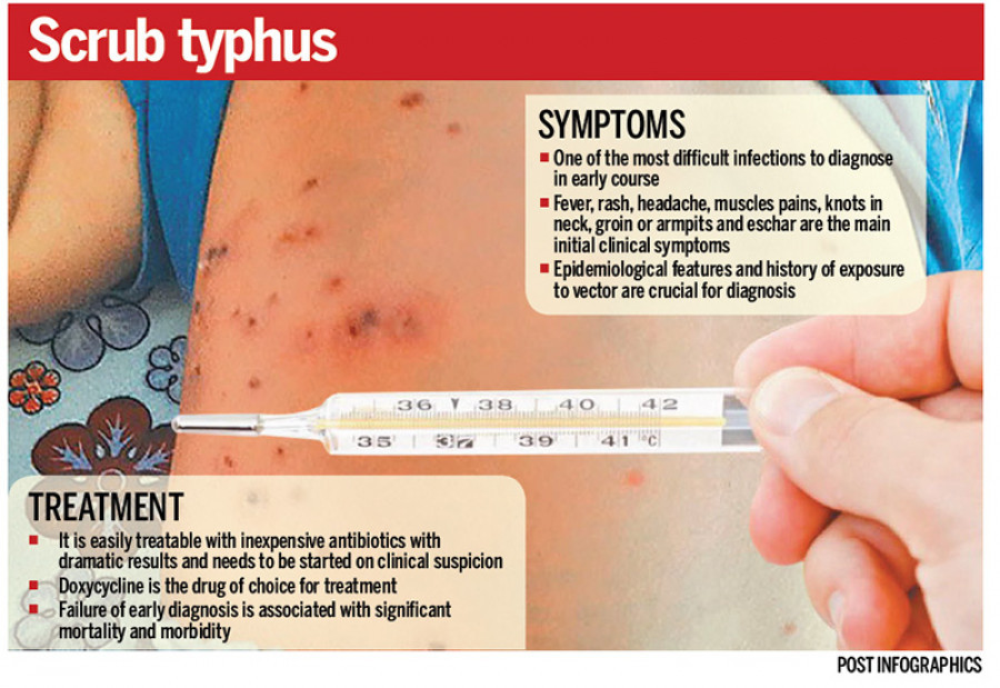 Country continues to grapple with scrub typhus