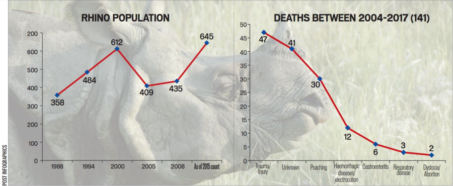 Rising rhino deaths put conservationists on the horns of a dilemma