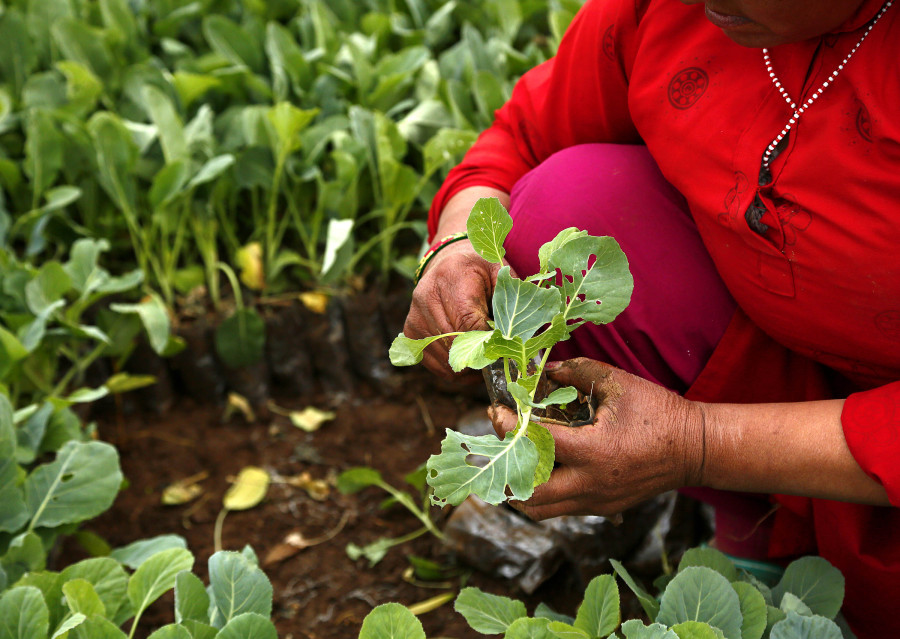 ICYMI: Here are our top stories from Saturday, September 7