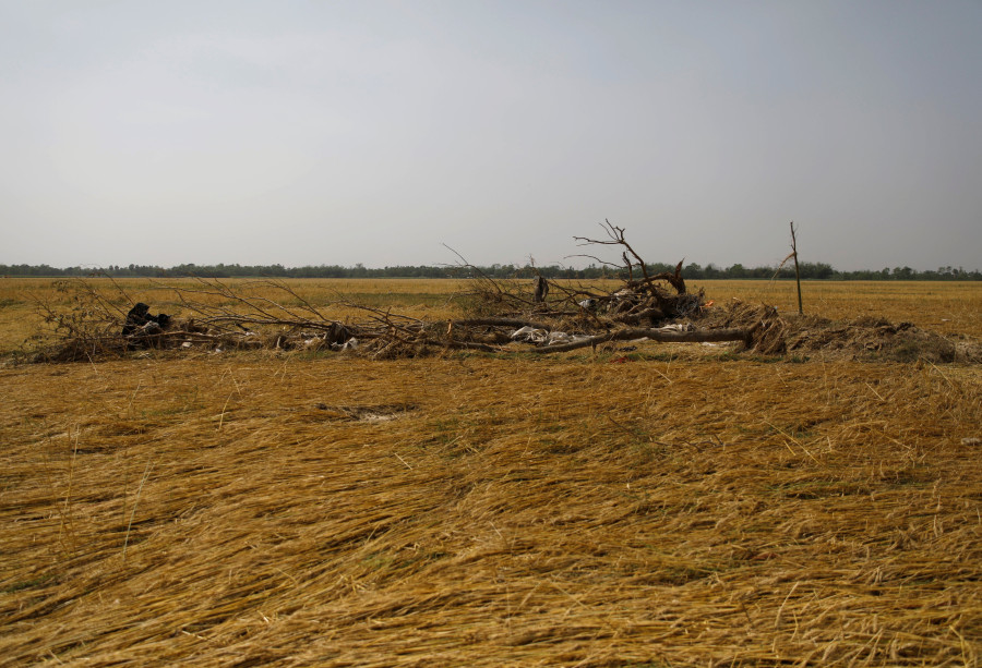 Gone with the wind: Crops worth millions destroyed in rainstorm