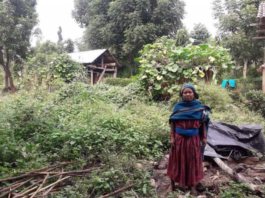 Upcoming Bheri-Babai project unsettles squatter communities in the area