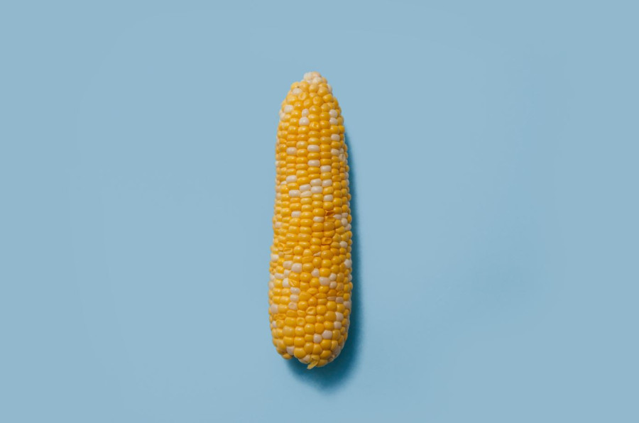 As a child growing up, roasted corn was our only snack. Now, every mouthful takes me back.