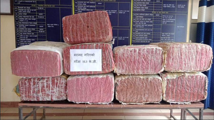 Police seize 262 kg of cannabis