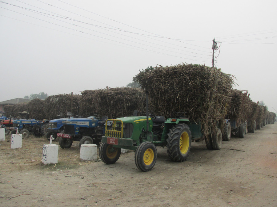 Sugarcane farmers postpone second phase of protest over coronavirus fears