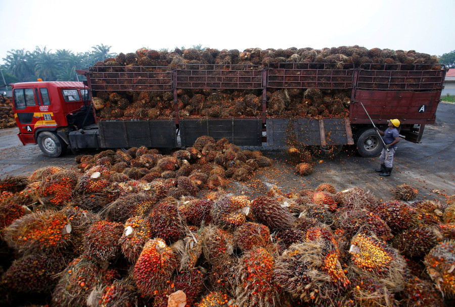 Request to lift ban on palm oil imports remains unanswered