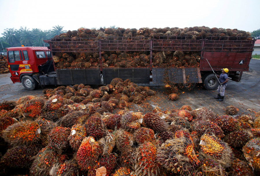 Nepal's palm oil exports could suffer as India suspends import licences